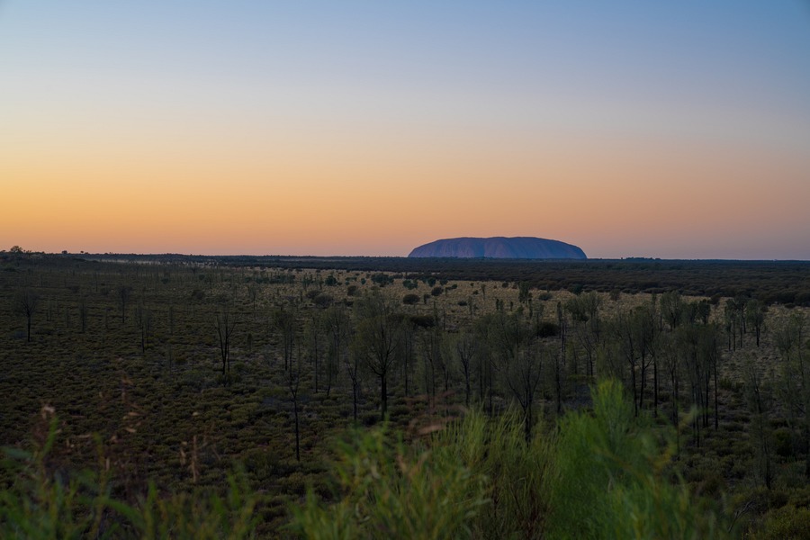 uluru tours reddit