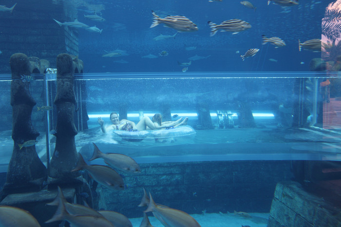 https://travelwithbender.com/files/1413/8674/4530/atlantis_aquaventure_dubai_IMG_1304.JPG