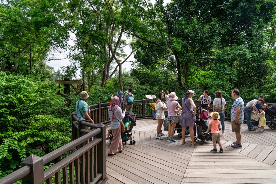 singapore zoo tourist