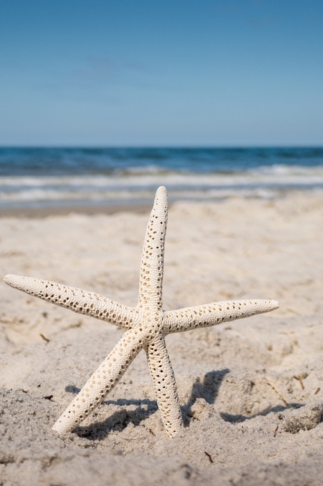 Finishing our beach trip- Cape San Blas 