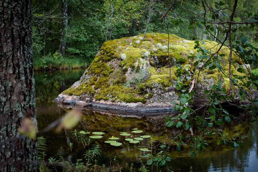 photography-tour-around-finland-s-saimaa-region