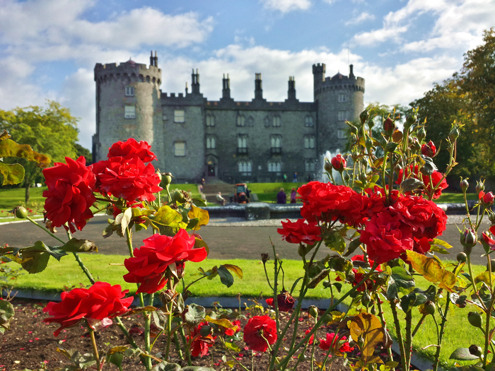 ireland_road_trip_20131014_143126_RichtoneHDR.jpg