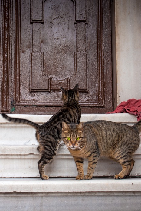 cool travel istanbul