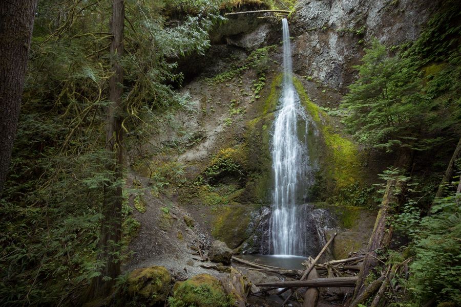 World’s Freakiest Beach + 5 More Reasons To Visit Olympic National Park ...