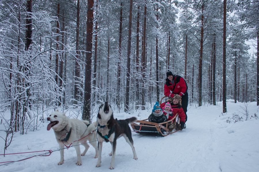 wooden dog sled