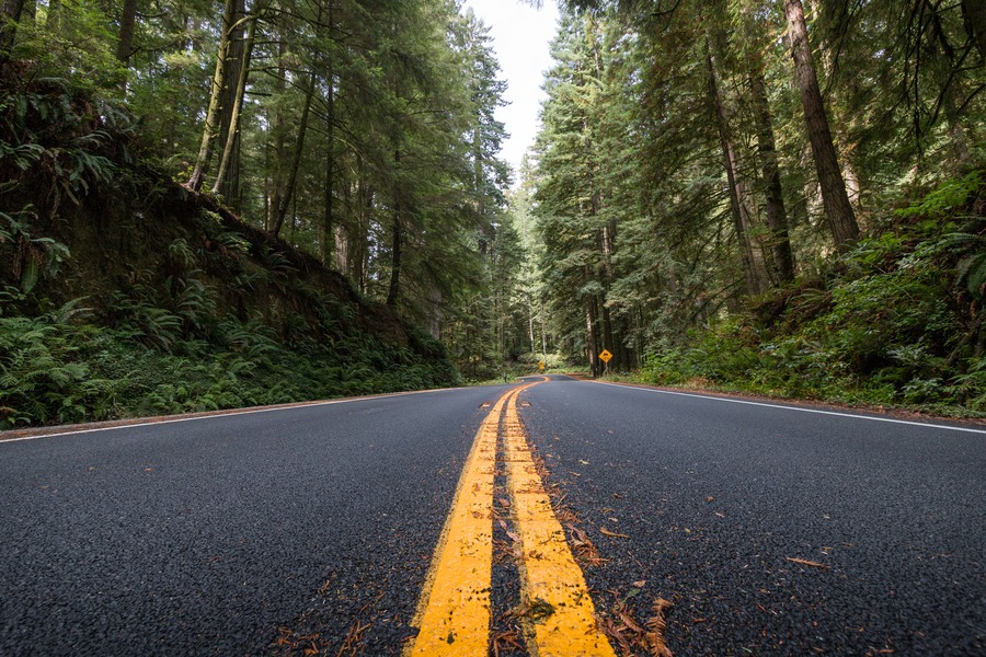 Photography Tour Around The Redwoods & Oregon Coast