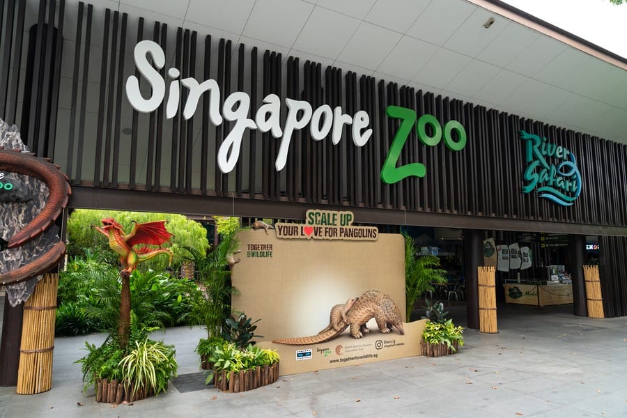 singapore zoo travel