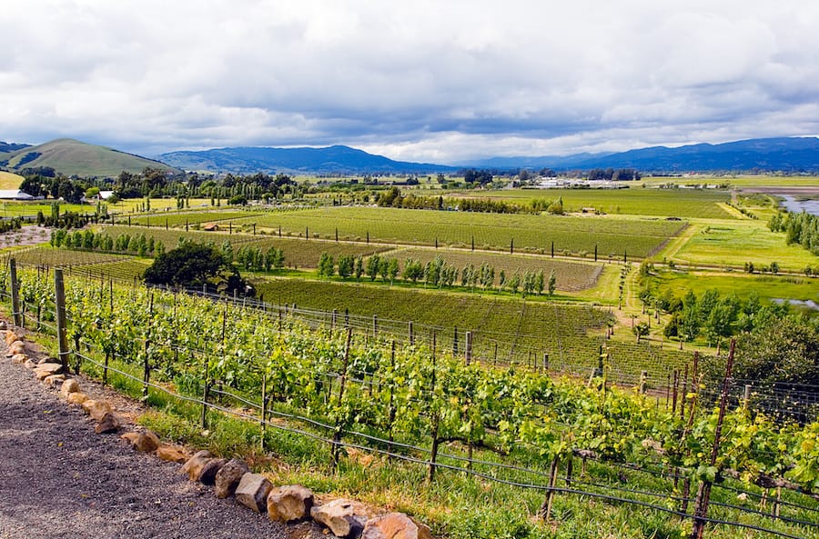 best tours of california wine country