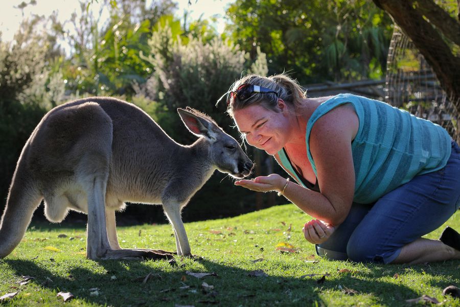 9 Cutest Australian Animals Can You Eat Them