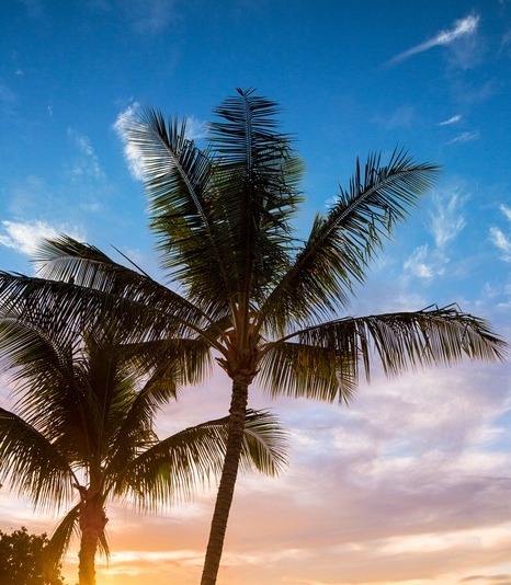 The Birth of a Travel Dream