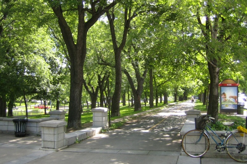 Montreal Parks: Great Kid Friendly Parks In Montreal