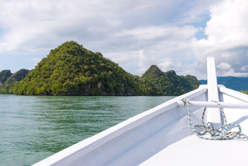 Mangrove Tour, Langkawi: Surprise Stingray Attack
