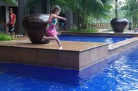 DSC03182.jpg