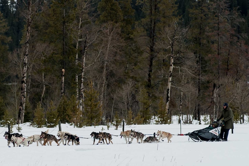 5 Winter Activities To Do In Montana