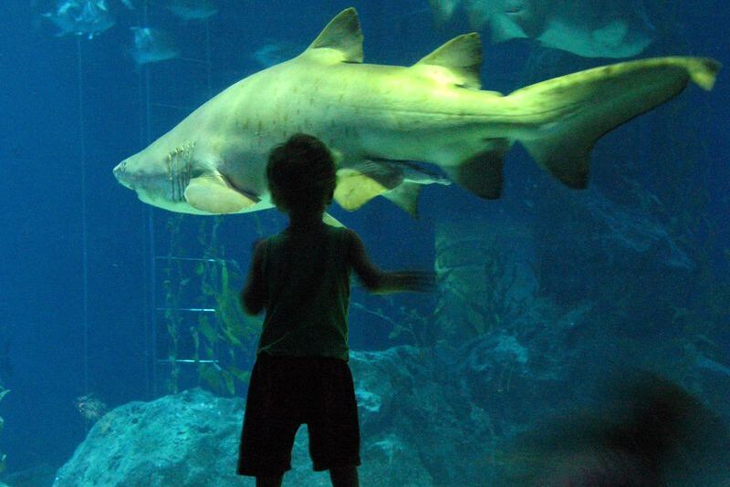 8 Things To Do With Kids In Bangkok