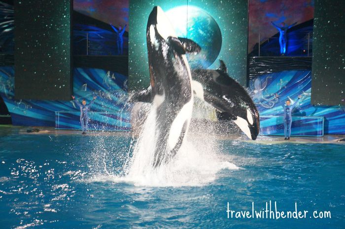 SeaWorld San Diego… You Sunk My Battleship
