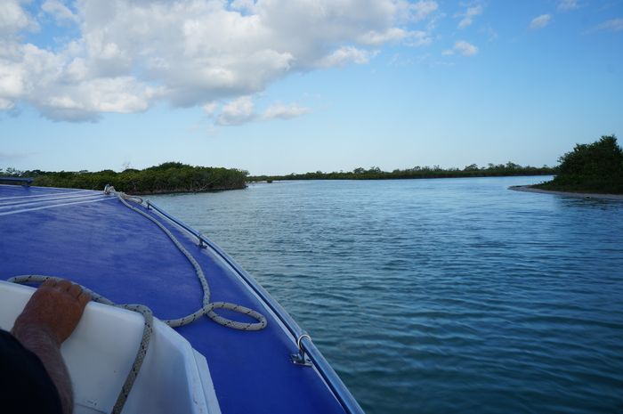 Where do you pee on a speedboat? Our journey to Ambergris Caye
