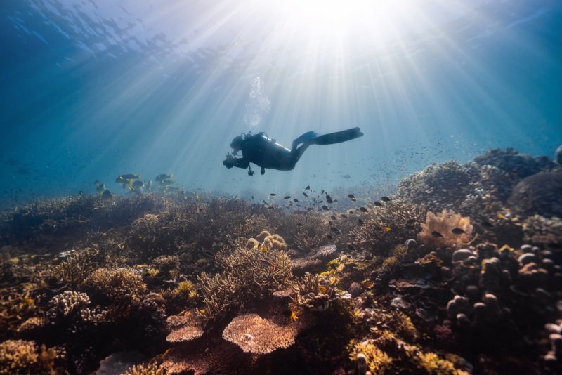 Facing the Deep: Overcoming Common Scuba Diving Fears