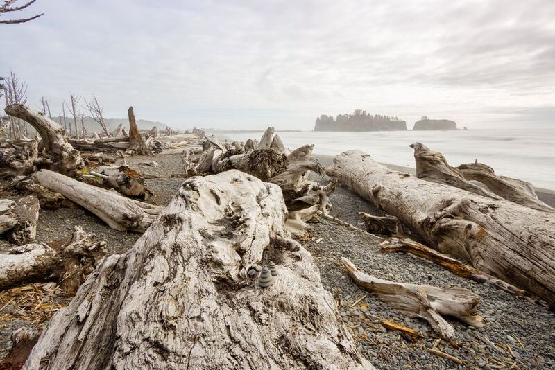 World’s Freakiest Beach + 5 More Reasons To Visit Olympic National Park, Washington