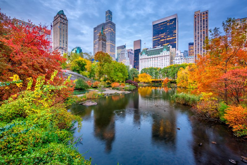 Five U.S. States to See The Best of Fall