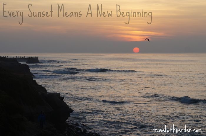Sunsets & Seals at La Jolla