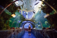 10 Things To Do In The Mall Of America With Kids