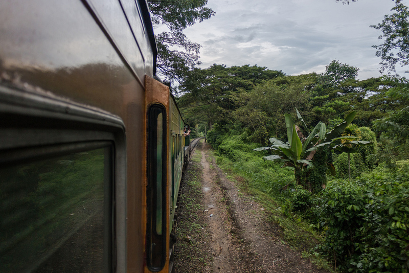 Living Life On The Edge: Hanging Out Of A Train In Sri Lanka