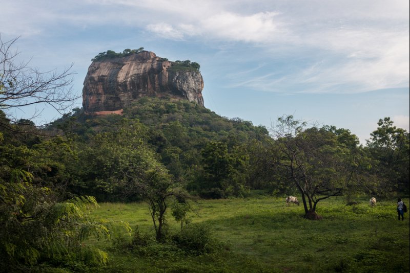 Sigiriya Rock, Sri Lanka: Attack Of The Killer Wasps
