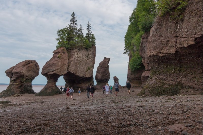 Hopewell Rocks With Kids: Educational AND Muddy (PLUS Bay Of Fundy Day Trip)