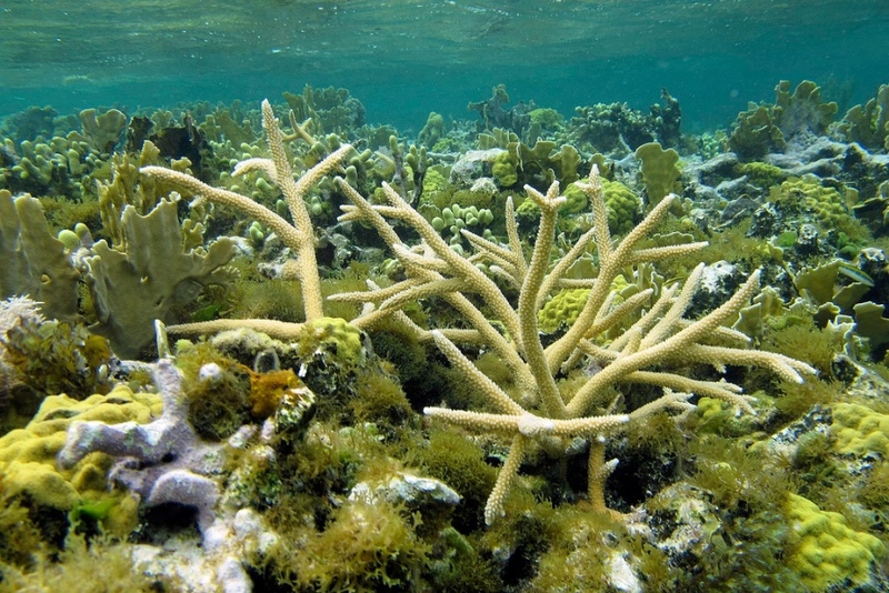 Three Water Things To Do In The Caribbean