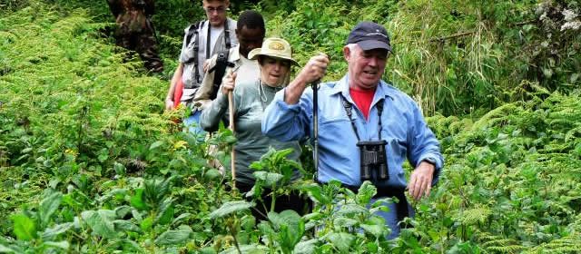 Rwanda Safaris – Enjoy Gorilla Spotting Trips In One Of The Richest Ecosystems On Earth
