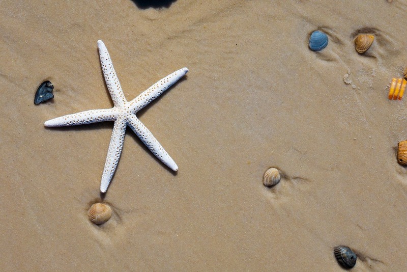 Your Quick Checklist for Awesome Family Vacations