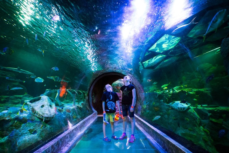 9 Reasons Why Your Kids Will Be Upset If They Don’t Visit Grapevine, Texas