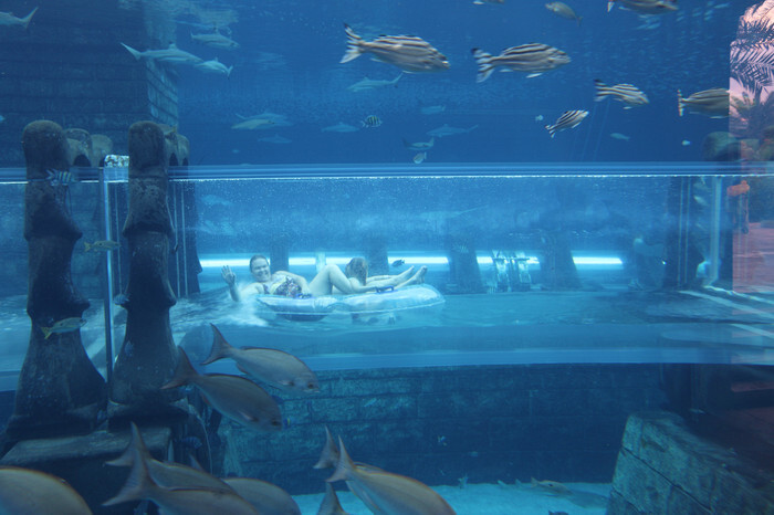 Watersliding With Sharks On A Man-Made Island