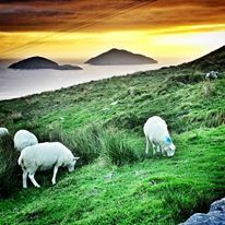 Ireland