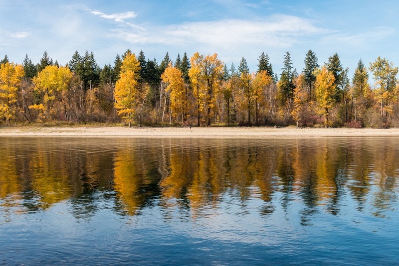Reflections
