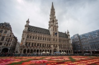 Brussels Flower Carpet: This Is What 600,000 Flowers Look Like