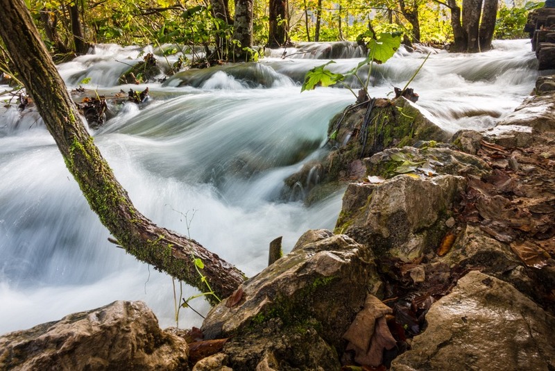 Explore The Elements - Photography