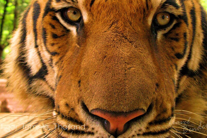 Free Travel Wallpaper