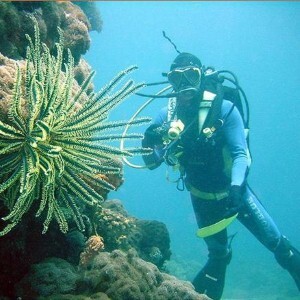 Top Ideas for Getting Out and Seeing Mauritius