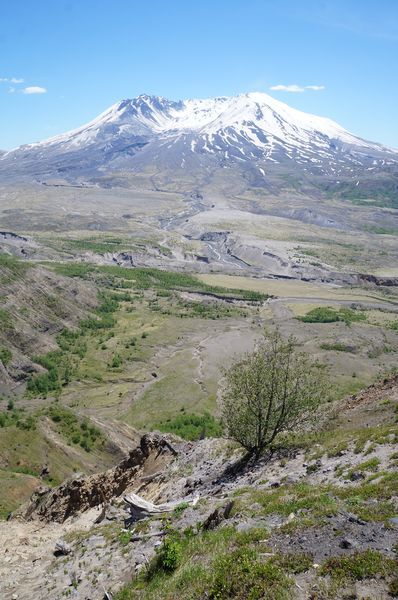 View larger image