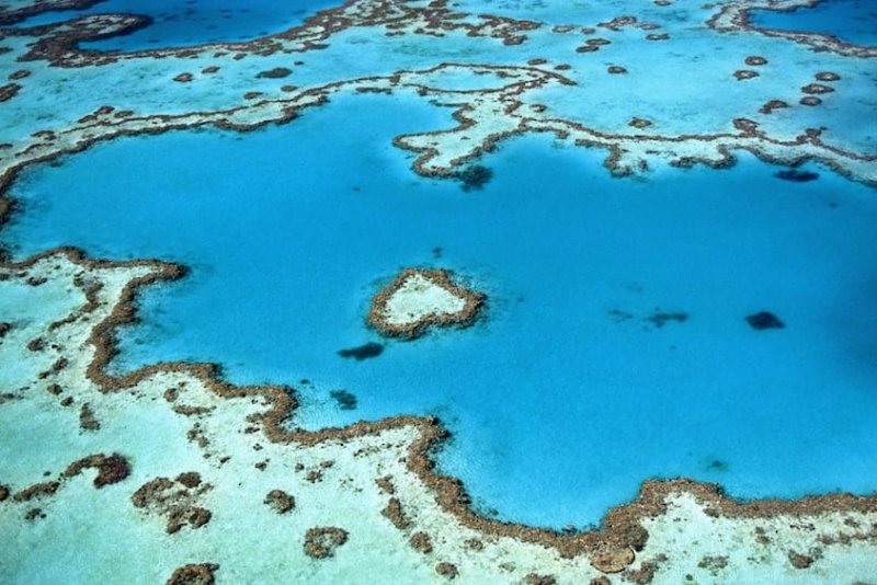 Visiting the Great Barrier Reef: One of the World’s Most Impressive Reef Structures