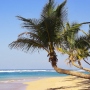 Punta Cana All-Inclusive Vacations – Luxurious Relaxation Exactly the Way You Want It