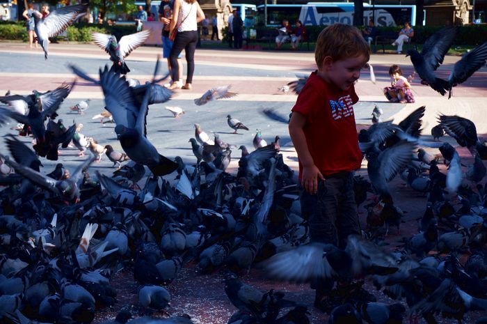 Traveling To Spain With Children