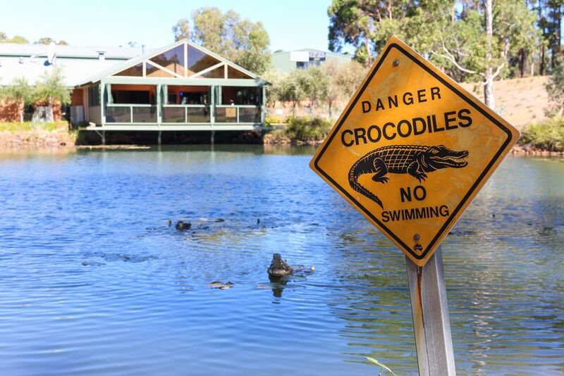 5 Deadliest Australian Animals: Can You Eat Them?