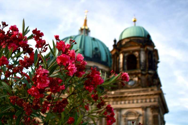 Flower Festivals of the World: A Cultural Experience you Didn't Know About