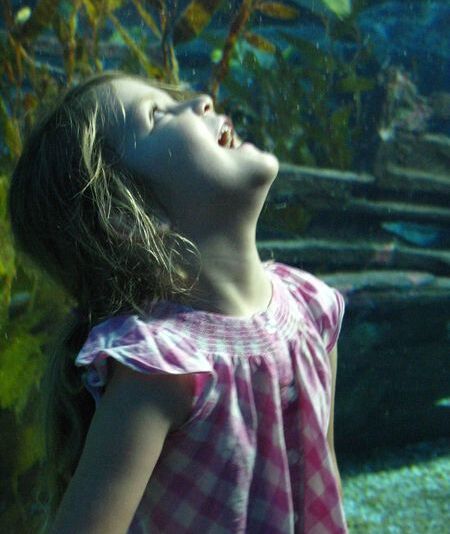 Traditional vs Modern: Bangkok's Chatuchak Market vs Siam Ocean World