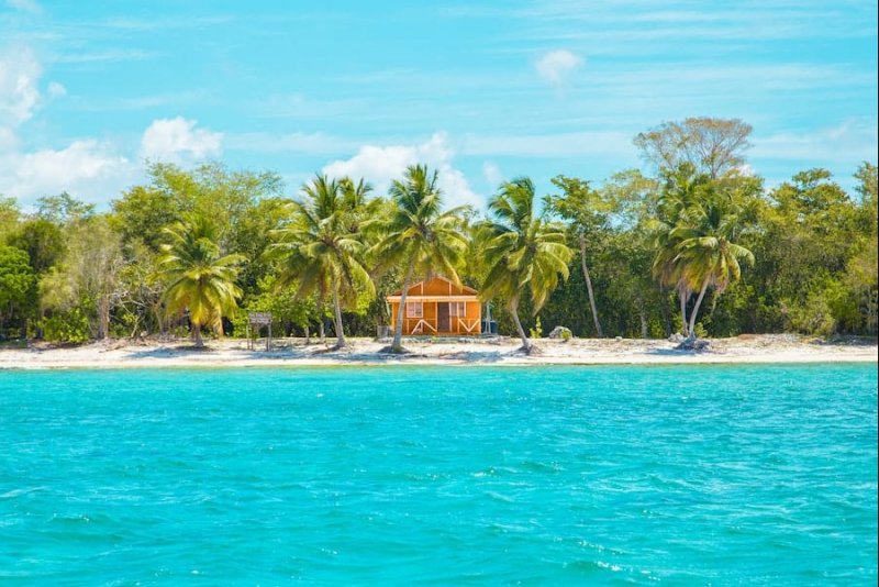 The Best Family Christmas Vacations: Turn Your Holiday Into a Joyful Memory