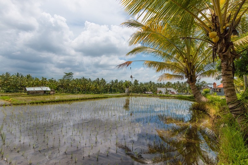 The Ultimate Guide To Bali Villas For Australians