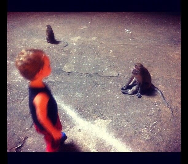 Batu Caves & Scary Monkeys